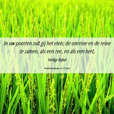 Picture 06 - Deuteronomium 15:22 NLD - In uw poorten zult gij het eten; de onreine en de - Bible Verse Picture