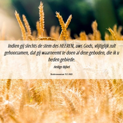Picture 06 - Deuteronomium 15:5 NLD - Indien gij slechts de stem des HEEREN, uws Gods, - Bible Verse Picture