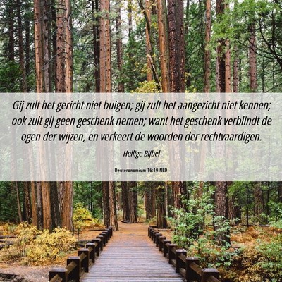Picture 06 - Deuteronomium 16:19 NLD - Gij zult het gericht niet buigen; gij zult het - Bible Verse Picture