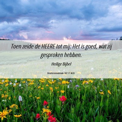 Picture 06 - Deuteronomium 18:17 NLD - Toen zeide de HEERE tot mij: Het is goed, wat zij - Bible Verse Picture