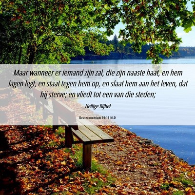 Picture 06 - Deuteronomium 19:11 NLD - Maar wanneer er iemand zijn zal, die zijn naaste - Bible Verse Picture