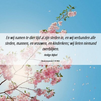 Picture 06 - Deuteronomium 2:34 NLD - En wij namen te dier tijd al zijn steden in, en - Bible Verse Picture