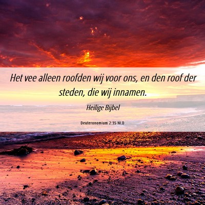 Picture 06 - Deuteronomium 2:35 NLD - Het vee alleen roofden wij voor ons, en den roof - Bible Verse Picture