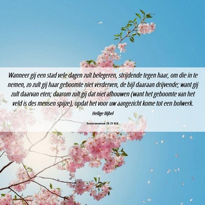 Picture 06 - Deuteronomium 20:19 NLD - Wanneer gij een stad vele dagen zult belegeren, - Bible Verse Picture