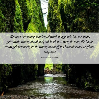 Picture 06 - Deuteronomium 22:22 NLD - Wanneer een man gevonden zal worden, liggende bij - Bible Verse Picture