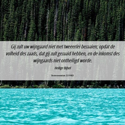 Picture 06 - Deuteronomium 22:9 NLD - Gij zult uw wijngaard niet met tweeerlei - Bible Verse Picture