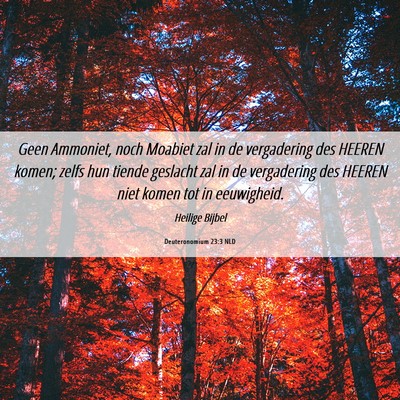 Picture 06 - Deuteronomium 23:3 NLD - Geen Ammoniet, noch Moabiet zal in de vergadering - Bible Verse Picture