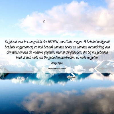 Picture 06 - Deuteronomium 26:13 NLD - En gij zult voor het aangezicht des HEEREN, uws - Bible Verse Picture