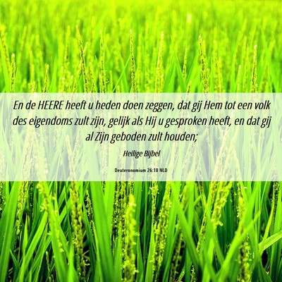 Picture 06 - Deuteronomium 26:18 NLD - En de HEERE heeft u heden doen zeggen, dat gij - Bible Verse Picture