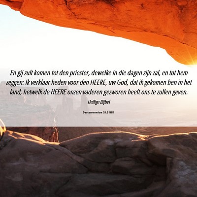 Picture 06 - Deuteronomium 26:3 NLD - En gij zult komen tot den priester, dewelke in - Bible Verse Picture