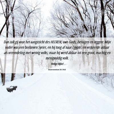 Picture 06 - Deuteronomium 26:5 NLD - Dan zult gij voor het aangezicht des HEEREN, uws - Bible Verse Picture