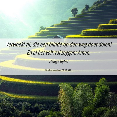 Picture 06 - Deuteronomium 27:18 NLD - Vervloekt zij, die een blinde op den weg doet - Bible Verse Picture