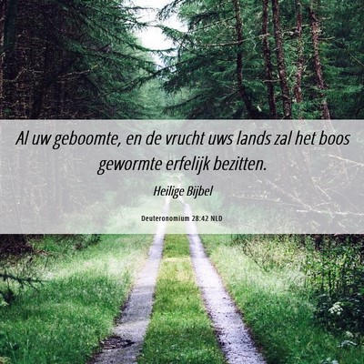 Picture 06 - Deuteronomium 28:42 NLD - Al uw geboomte, en de vrucht uws lands zal het - Bible Verse Picture