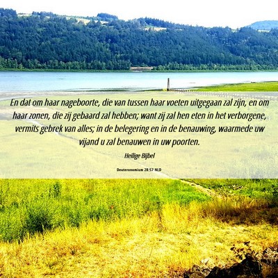 Picture 06 - Deuteronomium 28:57 NLD - En dat om haar nageboorte, die van tussen haar - Bible Verse Picture