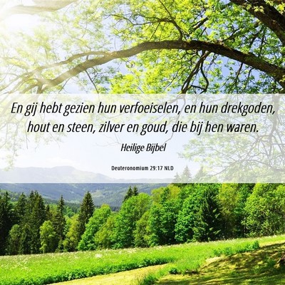 Picture 06 - Deuteronomium 29:17 NLD - En gij hebt gezien hun verfoeiselen, en hun - Bible Verse Picture