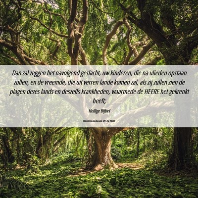 Picture 06 - Deuteronomium 29:22 NLD - Dan zal zeggen het navolgend geslacht, uw - Bible Verse Picture