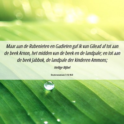 Picture 06 - Deuteronomium 3:16 NLD - Maar aan de Rubenieten en Gadieten gaf ik van - Bible Verse Picture