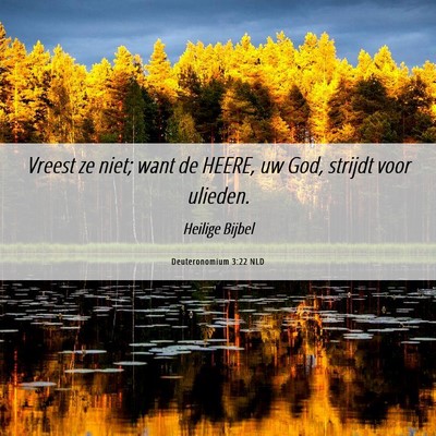 Picture 06 - Deuteronomium 3:22 NLD - Vreest ze niet; want de HEERE, uw God, strijdt - Bible Verse Picture