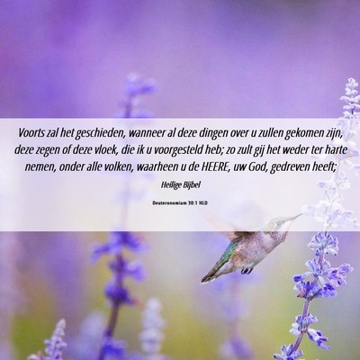 Picture 06 - Deuteronomium 30:1 NLD - Voorts zal het geschieden, wanneer al deze dingen - Bible Verse Picture