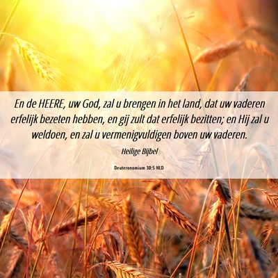 Picture 06 - Deuteronomium 30:5 NLD - En de HEERE, uw God, zal u brengen in het land, - Bible Verse Picture