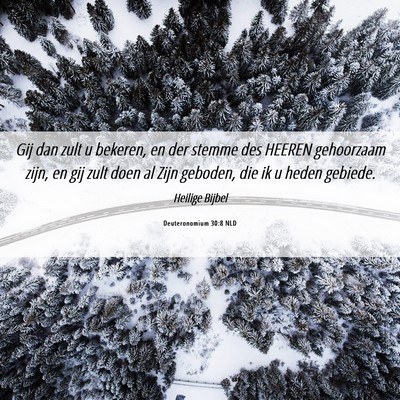 Picture 06 - Deuteronomium 30:8 NLD - Gij dan zult u bekeren, en der stemme des HEEREN - Bible Verse Picture