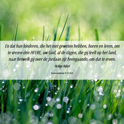 Picture 06 - Deuteronomium 31:13 NLD - En dat hun kinderen, die het niet geweten hebben, - Bible Verse Picture