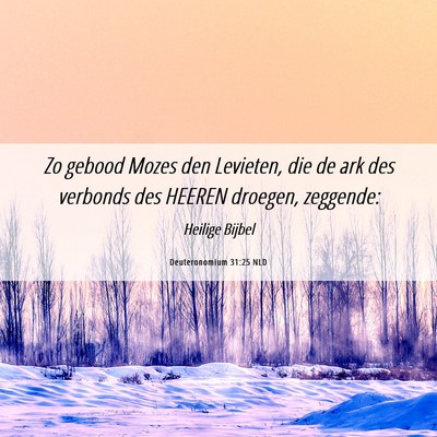 Picture 06 - Deuteronomium 31:25 NLD - Zo gebood Mozes den Levieten, die de ark des - Bible Verse Picture