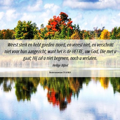 Picture 06 - Deuteronomium 31:6 NLD - Weest sterk en hebt goeden moed, en vreest niet, - Bible Verse Picture