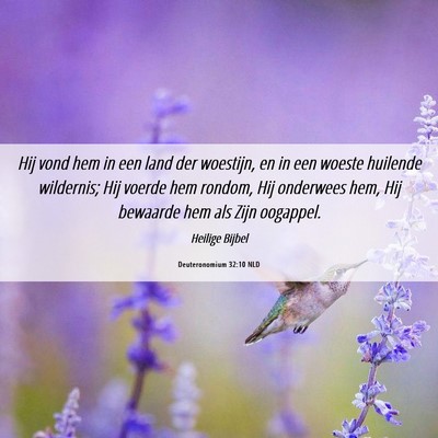 Picture 06 - Deuteronomium 32:10 NLD - Hij vond hem in een land der woestijn, en in een - Bible Verse Picture