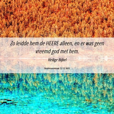 Picture 06 - Deuteronomium 32:12 NLD - Zo leidde hem de HEERE alleen, en er was geen - Bible Verse Picture