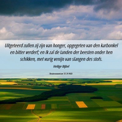 Picture 06 - Deuteronomium 32:24 NLD - Uitgeteerd zullen zij zijn van honger, opgegeten - Bible Verse Picture