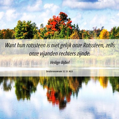 Picture 06 - Deuteronomium 32:31 NLD - Want hun rotssteen is niet gelijk onze Rotssteen, - Bible Verse Picture