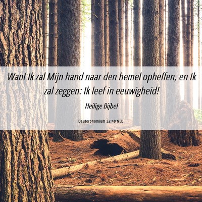 Picture 06 - Deuteronomium 32:40 NLD - Want Ik zal Mijn hand naar den hemel opheffen, en - Bible Verse Picture