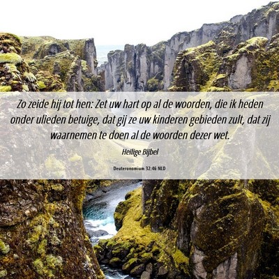 Picture 06 - Deuteronomium 32:46 NLD - Zo zeide hij tot hen: Zet uw hart op al de - Bible Verse Picture