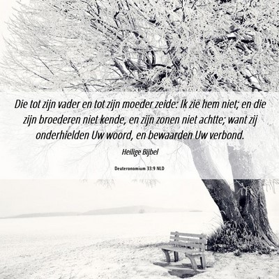 Picture 06 - Deuteronomium 33:9 NLD - Die tot zijn vader en tot zijn moeder zeide: Ik - Bible Verse Picture