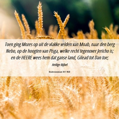 Picture 06 - Deuteronomium 34:1 NLD - Toen ging Mozes op uit de vlakke velden van Moab, - Bible Verse Picture