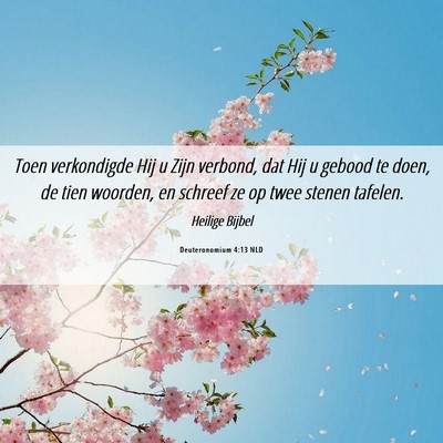 Picture 06 - Deuteronomium 4:13 NLD - Toen verkondigde Hij u Zijn verbond, dat Hij u - Bible Verse Picture