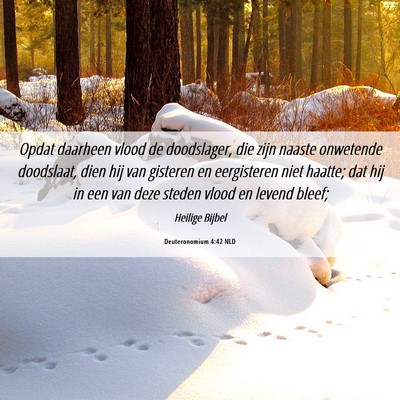 Picture 06 - Deuteronomium 4:42 NLD - Opdat daarheen vlood de doodslager, die zijn - Bible Verse Picture