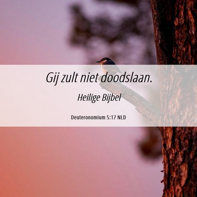 Picture 06 - Deuteronomium 5:17 NLD - Gij zult niet - Bible Verse Picture
