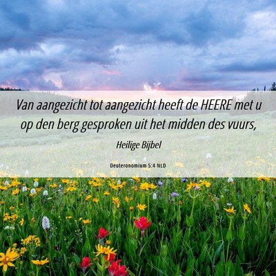 Picture 06 - Deuteronomium 5:4 NLD - Van aangezicht tot aangezicht heeft de HEERE met - Bible Verse Picture