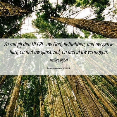 Picture 06 - Deuteronomium 6:5 NLD - Zo zult gij den HEERE, uw God, liefhebben, met uw - Bible Verse Picture