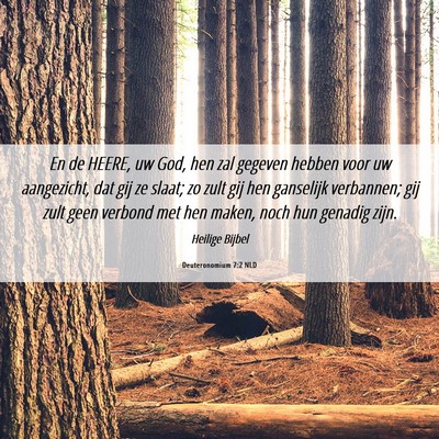 Picture 06 - Deuteronomium 7:2 NLD - En de HEERE, uw God, hen zal gegeven hebben voor - Bible Verse Picture