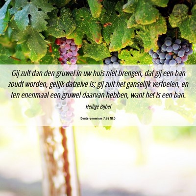 Picture 06 - Deuteronomium 7:26 NLD - Gij zult dan den gruwel in uw huis niet brengen, - Bible Verse Picture