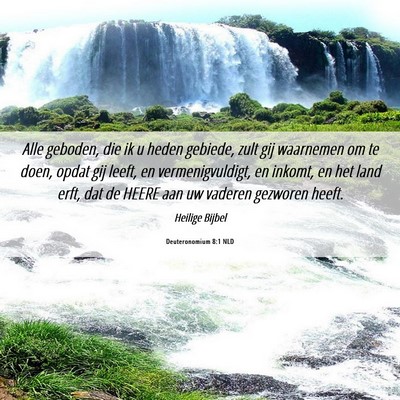 Picture 06 - Deuteronomium 8:1 NLD - Alle geboden, die ik u heden gebiede, zult gij - Bible Verse Picture