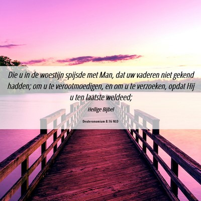 Picture 06 - Deuteronomium 8:16 NLD - Die u in de woestijn spijsde met Man, dat uw - Bible Verse Picture