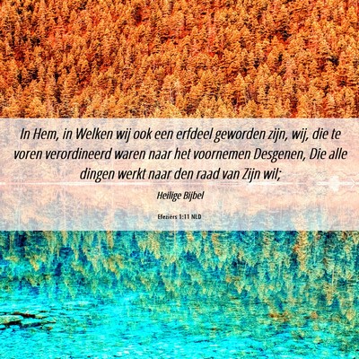 Picture 06 - Efeziërs 1:11 NLD - In Hem, in Welken wij ook een erfdeel geworden - Bible Verse Picture