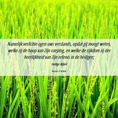 Picture 06 - Efeziërs 1:18 NLD - Namelijk verlichte ogen uws verstands, opdat gij - Bible Verse Picture
