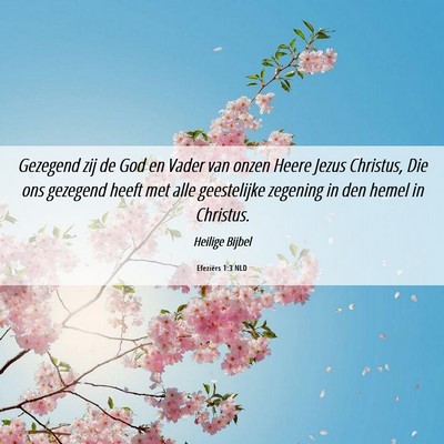 Picture 06 - Efeziërs 1:3 NLD - Gezegend zij de God en Vader van onzen Heere - Bible Verse Picture