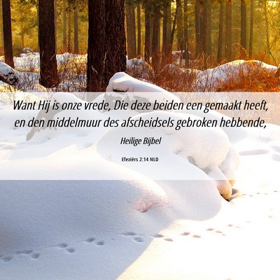 Picture 06 - Efeziërs 2:14 NLD - Want Hij is onze vrede, Die deze beiden een - Bible Verse Picture
