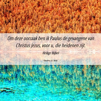 Picture 06 - Efeziërs 3:1 NLD - Om deze oorzaak ben ik Paulus de gevangene van - Bible Verse Picture